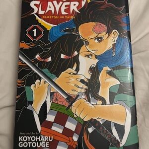 Demon Slayer Manga Volume 1